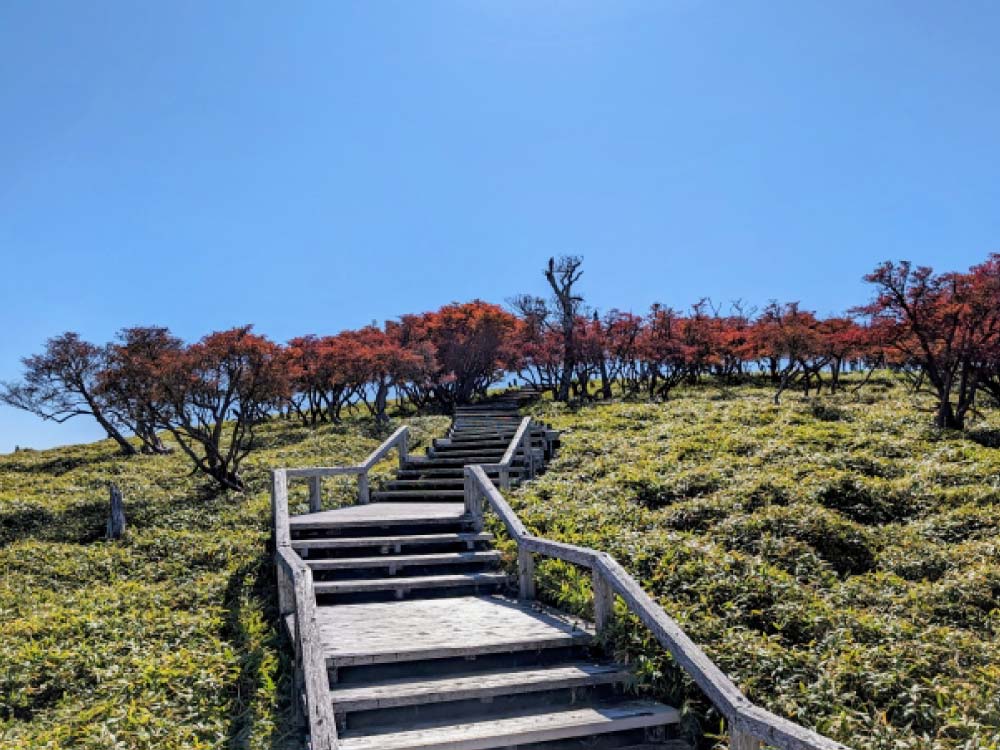 大台ヶ原