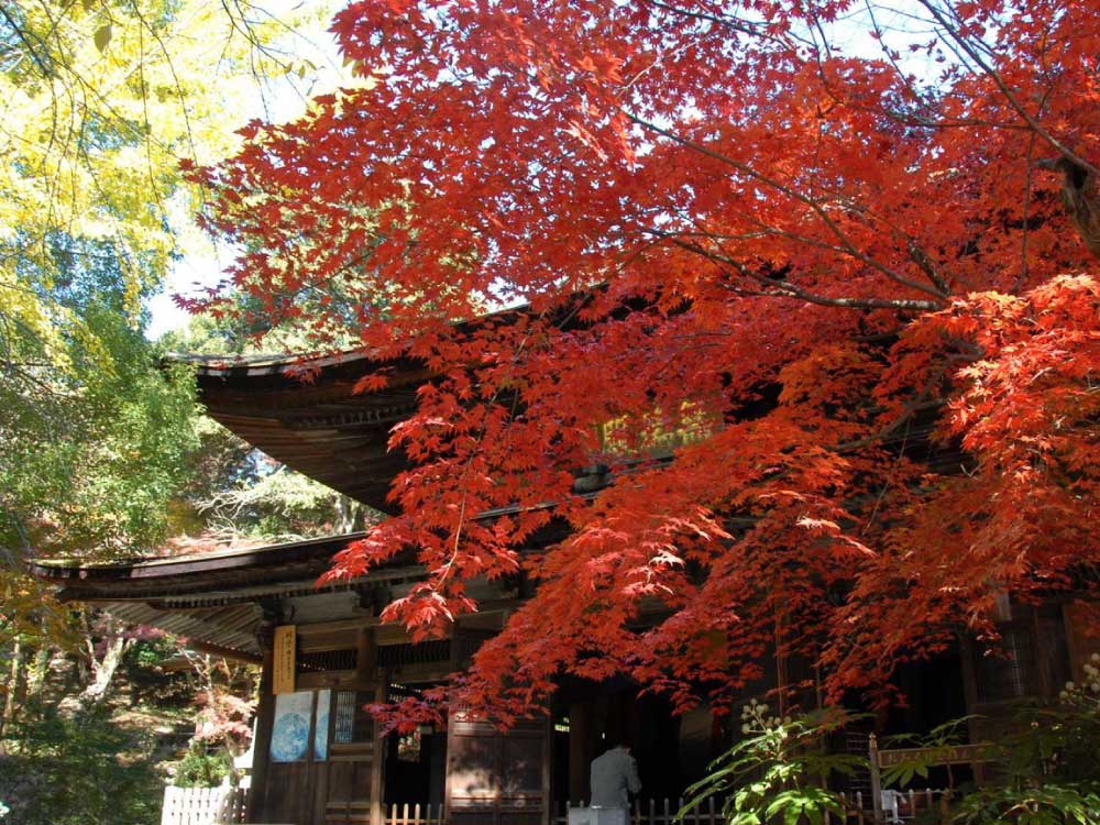 紅葉と寺