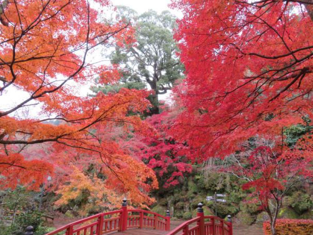 熱海梅園