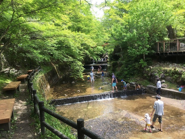 岩屋堂公園