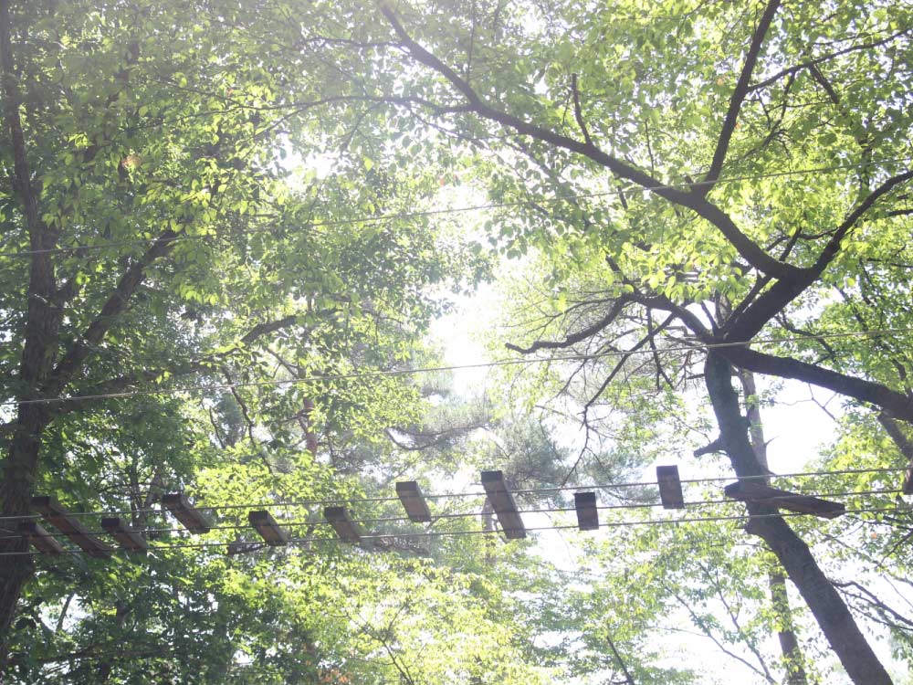 フォレストアドベンチャー・湯の山