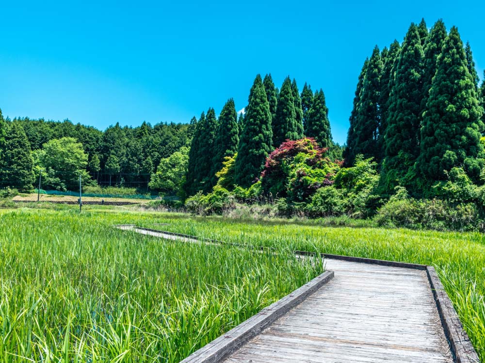 三重県の避暑地について