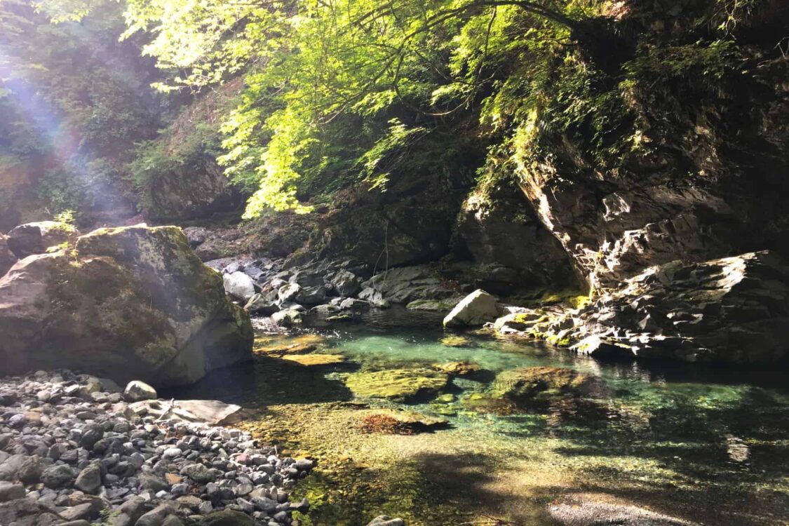 三重県菰野町の川遊びスポットについて