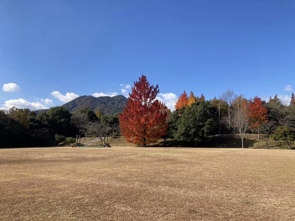 三重県民の森