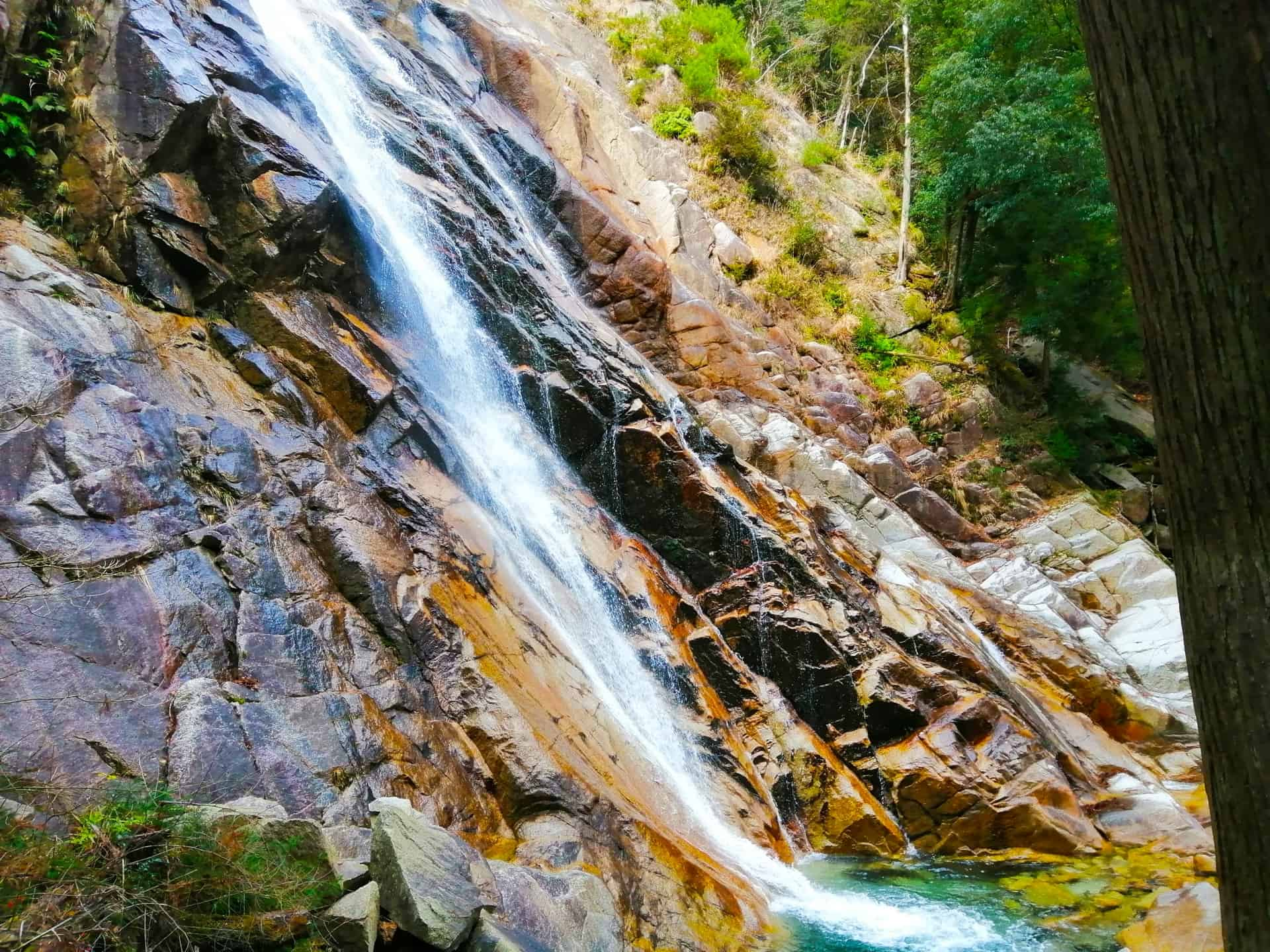 湯の山温泉のおすすめの過ごし方